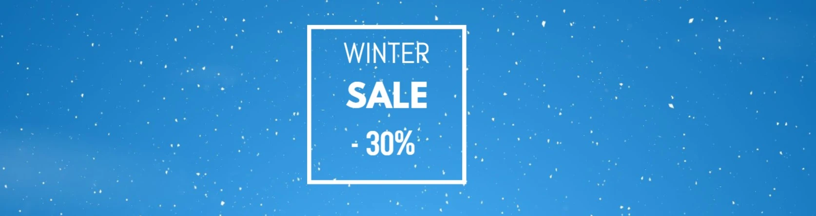 Winter SALE -30%